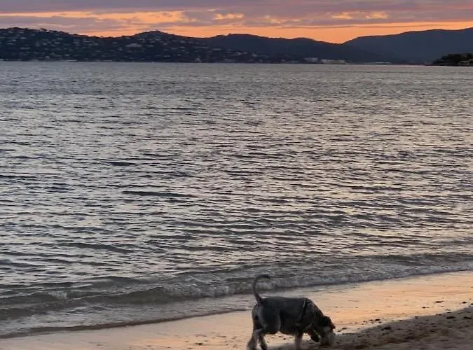 Le Grand Large Апартаменти Сент-Максім