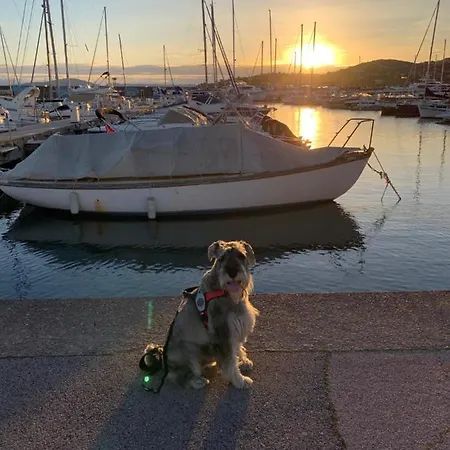 Apartment Le Grand Large Sainte-Maxime