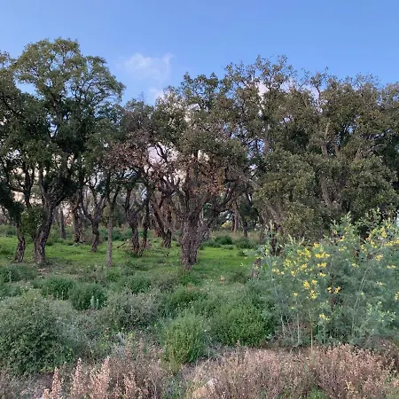 Apartment Le Grand Large