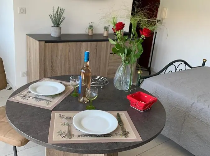 Le Grand Large Appartement