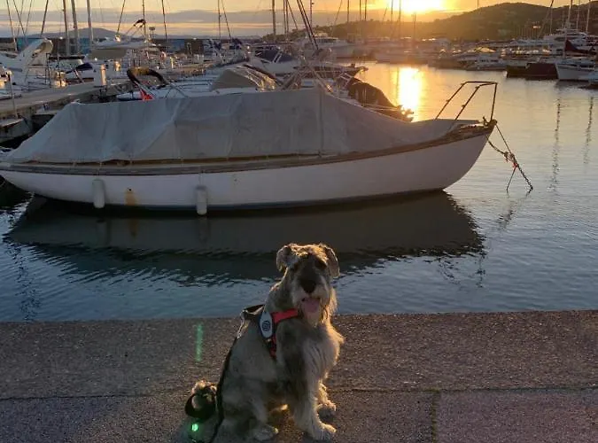 アパート Le Grand Large サント・マキシム