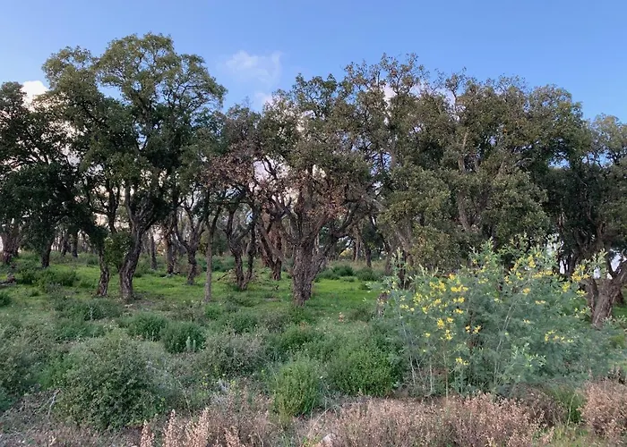 Апартаменти Le Grand Large